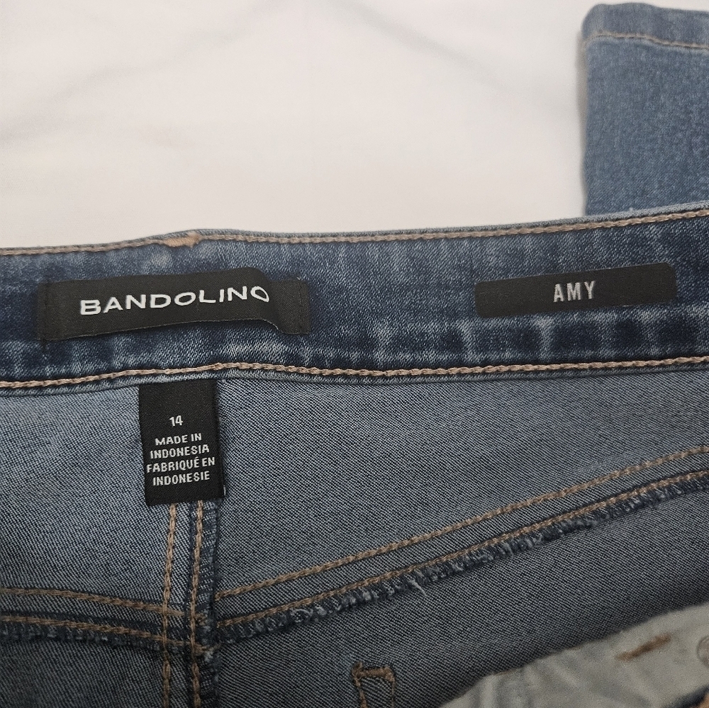 Bandolino Plus Size Straight Leg Jeans! - Picture 3 of 7